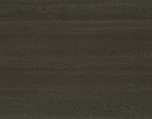 ModernWood Texture