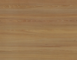 ModernWood Texture