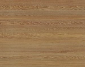 ModernWood Texture