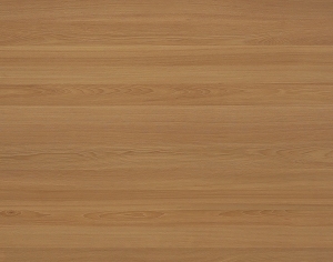 ModernWood Texture