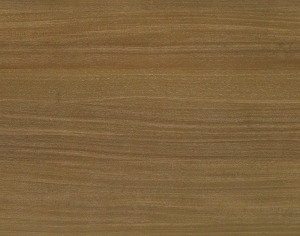 ModernWood Texture