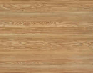 ModernWood Texture