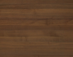 ModernWood Texture