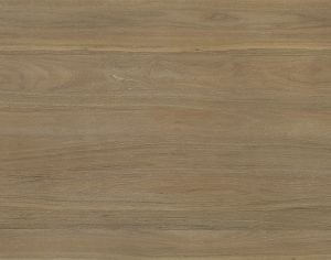 ModernWood Texture