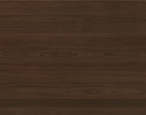 ModernWood Texture