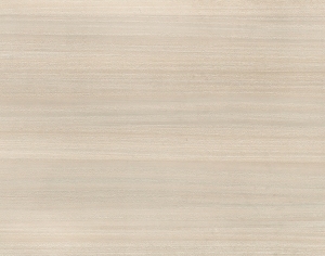 ModernWood Texture