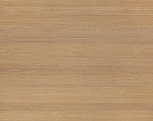 ModernWood Texture