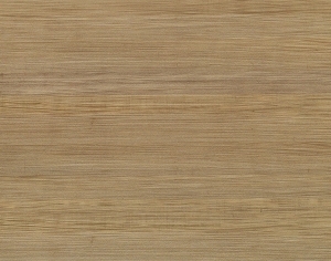 ModernWood Texture