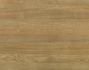 ModernWood Texture