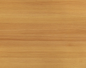 ModernWood Texture