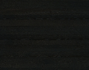 ModernWood Texture