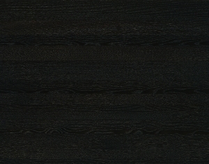 ModernWood Texture