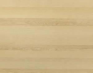 ModernWood Texture