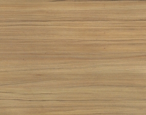 ModernWood Texture