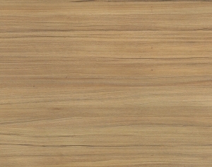 ModernWood Texture