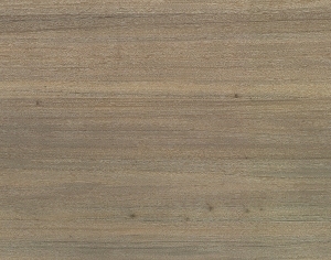 ModernWood Texture