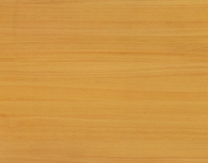 ModernWood Texture