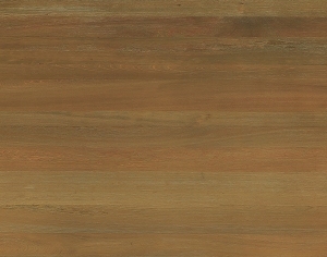 ModernWood Texture