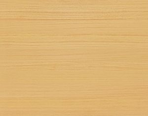 ModernWood Texture