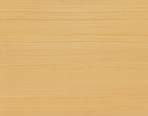 ModernWood Texture