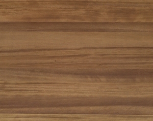 ModernWood Texture