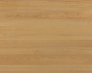 ModernWood Texture