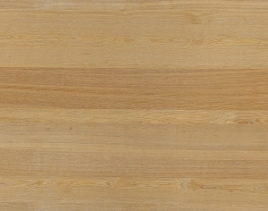 ModernWood Texture