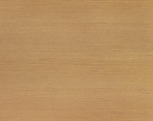 ModernWood Texture