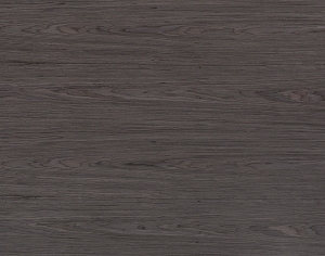 ModernWood Texture