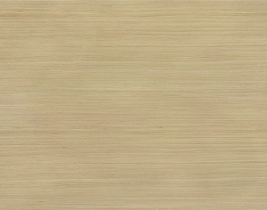 ModernWood Texture