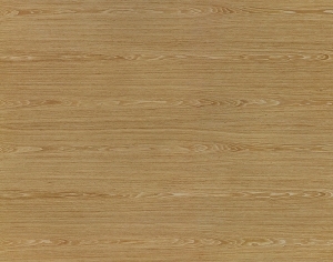 ModernWood Texture