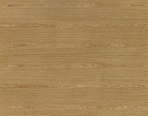 ModernWood Texture