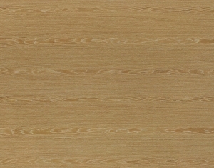 ModernWood Texture