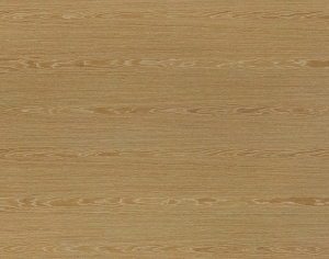 ModernWood Texture