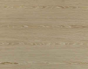 ModernWood Texture