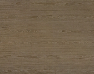 ModernWood Texture