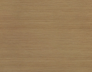 ModernWood Texture