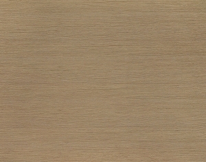 ModernWood Texture