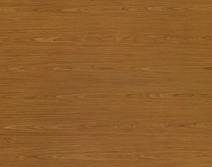 ModernWood Texture