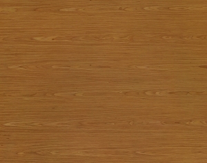 ModernWood Texture