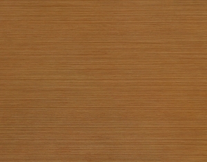 ModernWood Texture