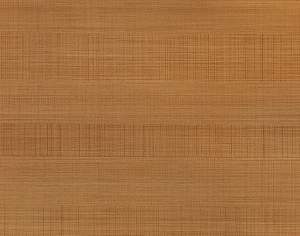 ModernWood Texture