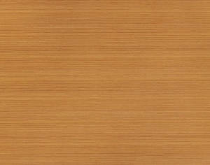 ModernWood Texture