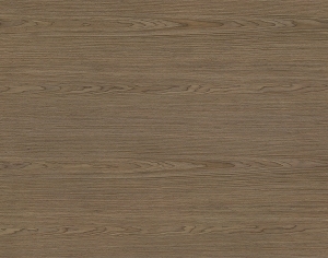 ModernWood Texture