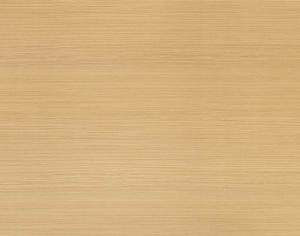 ModernWood Texture