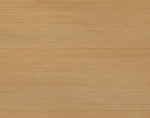 ModernWood Texture