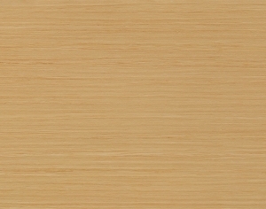 ModernWood Texture