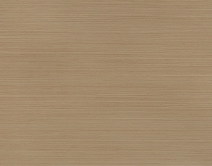 ModernWood Texture