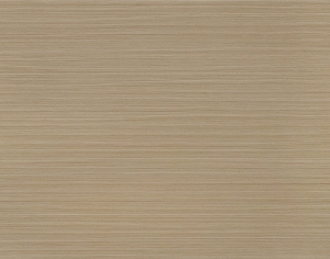 ModernWood Texture