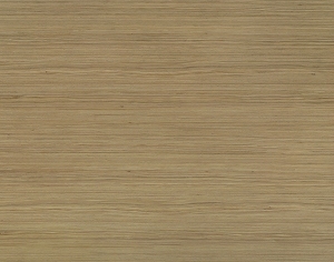 ModernWood Texture